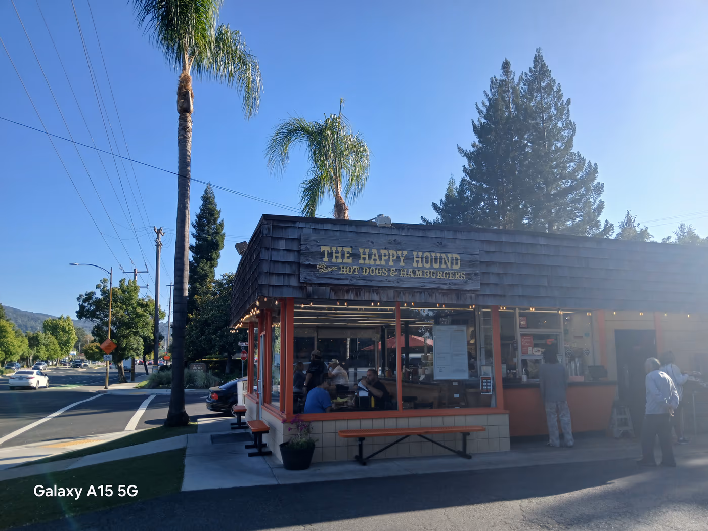 The Happy Hound of Los Gatos photo 3