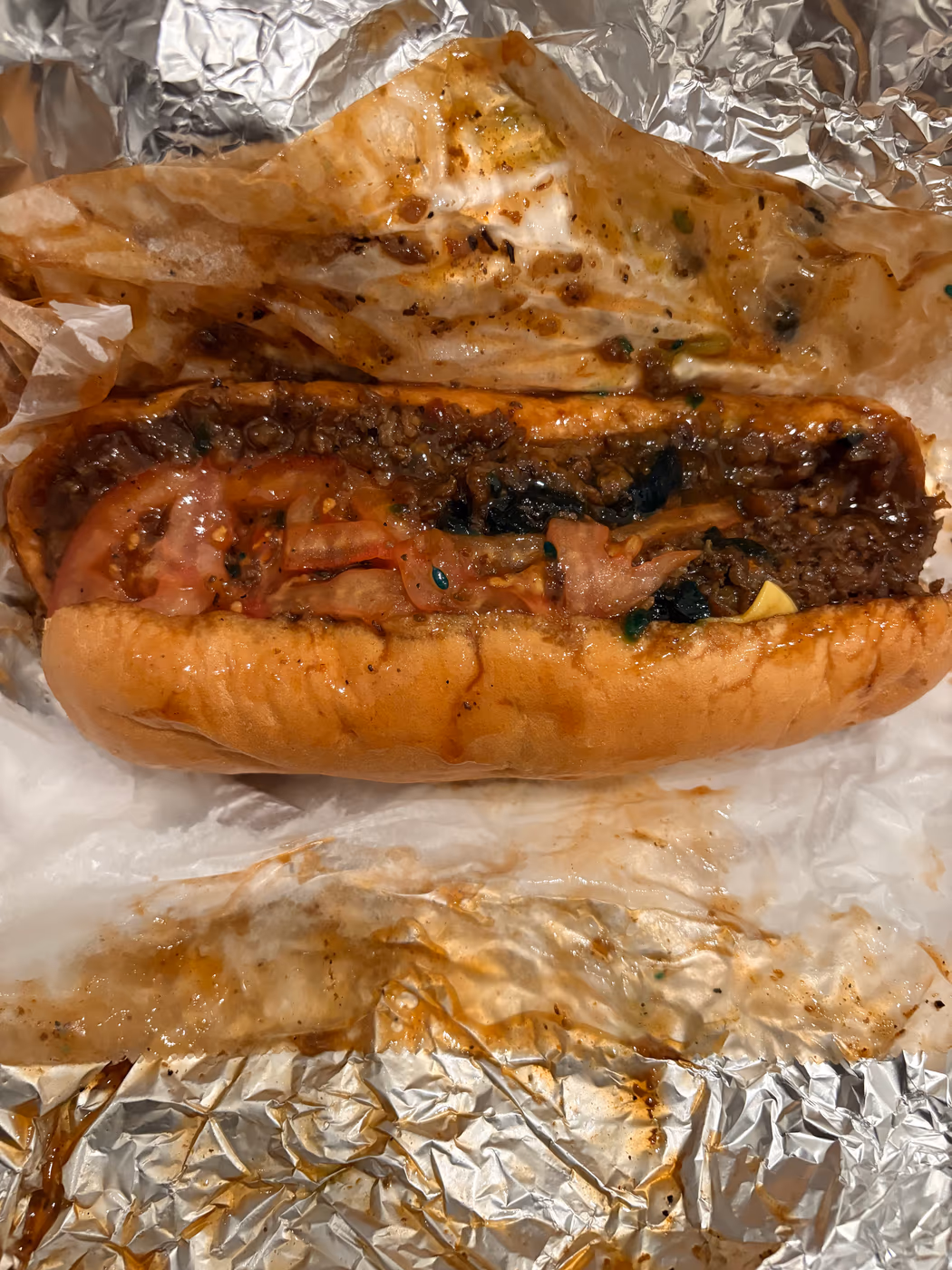 The Hoagy Plug photo 2
