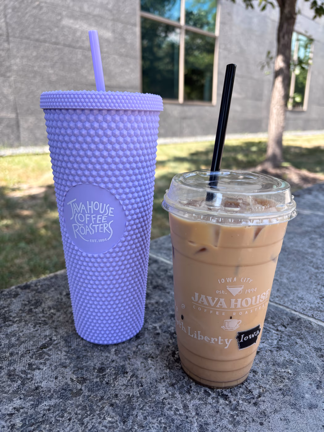 The JAVA HOUSE | Heirloom Salad Company