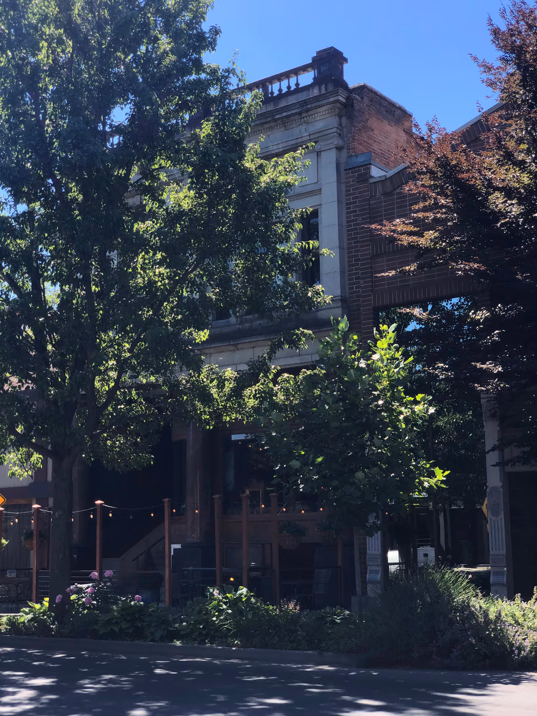 The Blue Lantern Coffee House photo 4