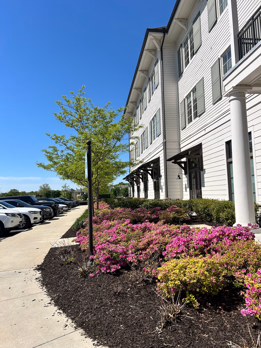 The Market at Meadowbrook