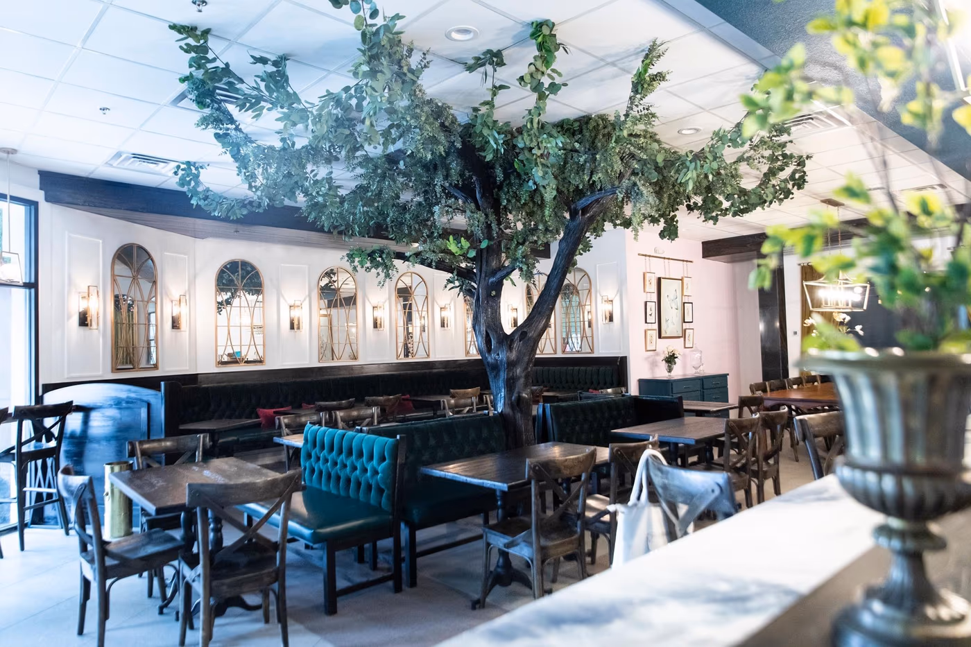 The Plantry Cafe