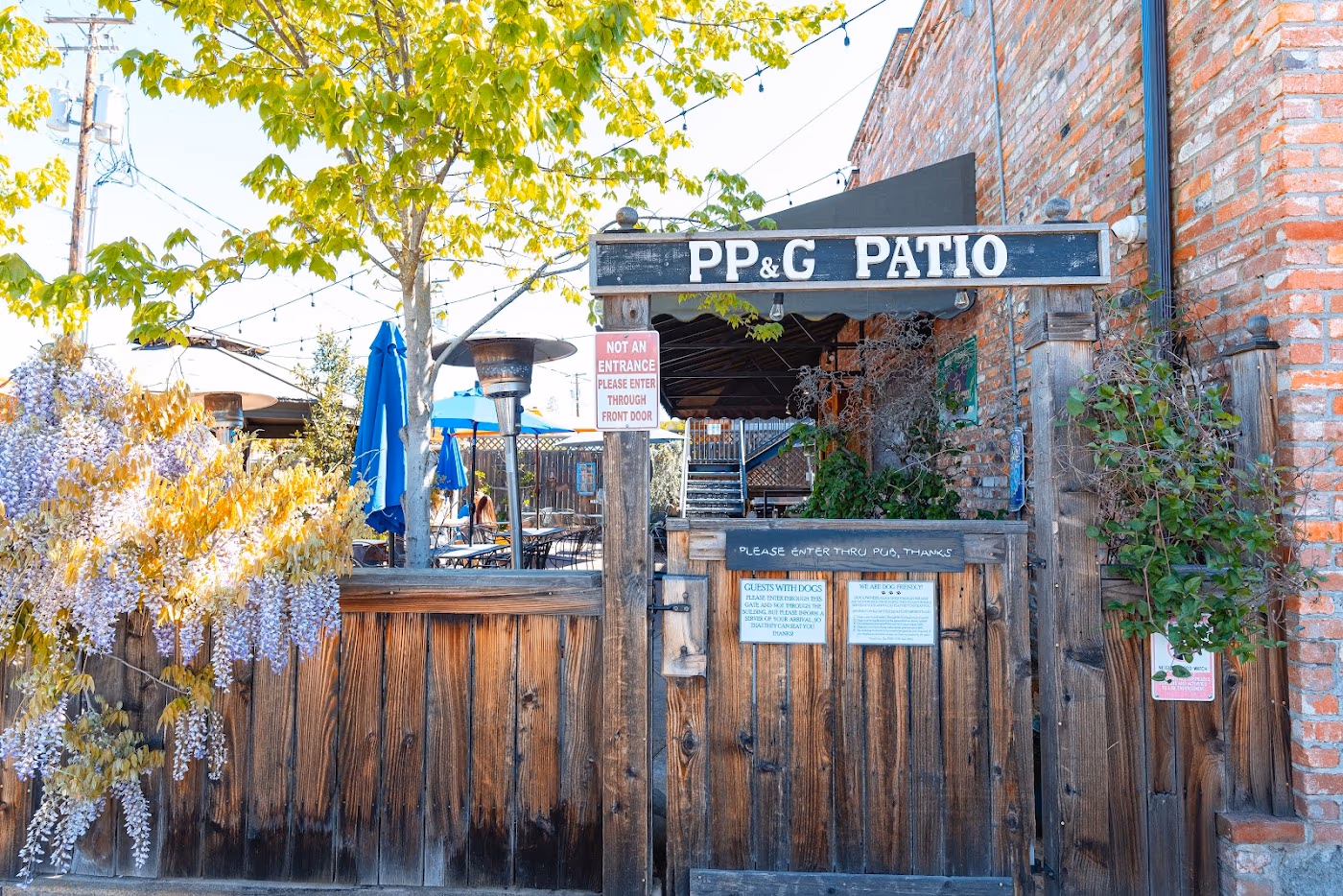 The Point Pub & Grill photo 2