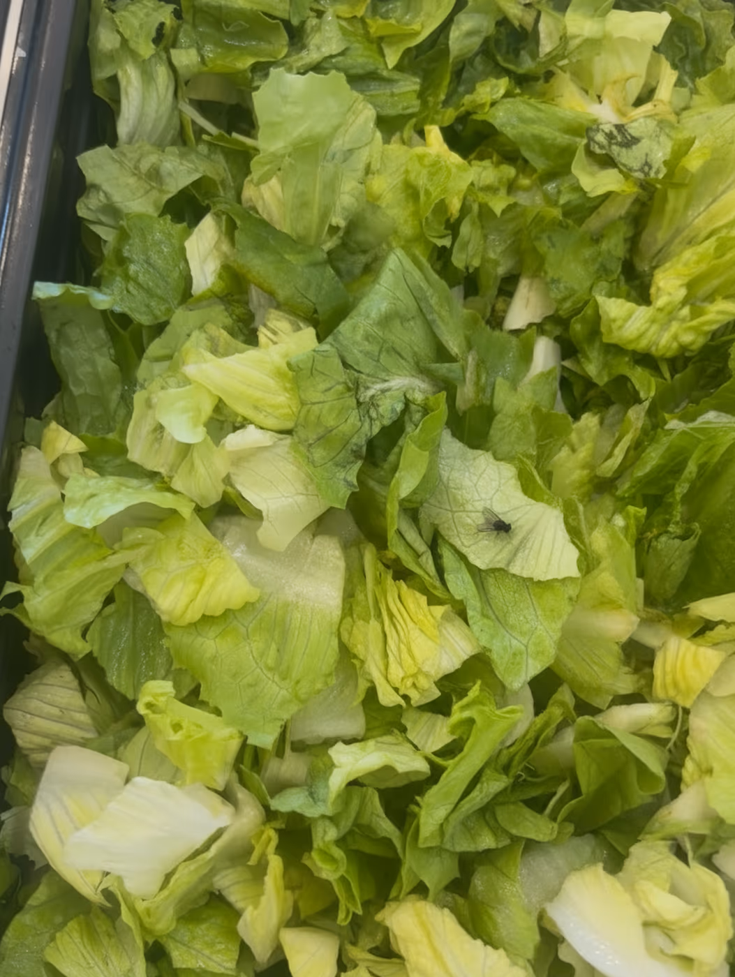 The Salad Station photo 3