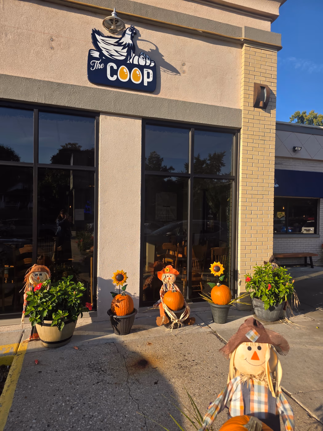 The Coop