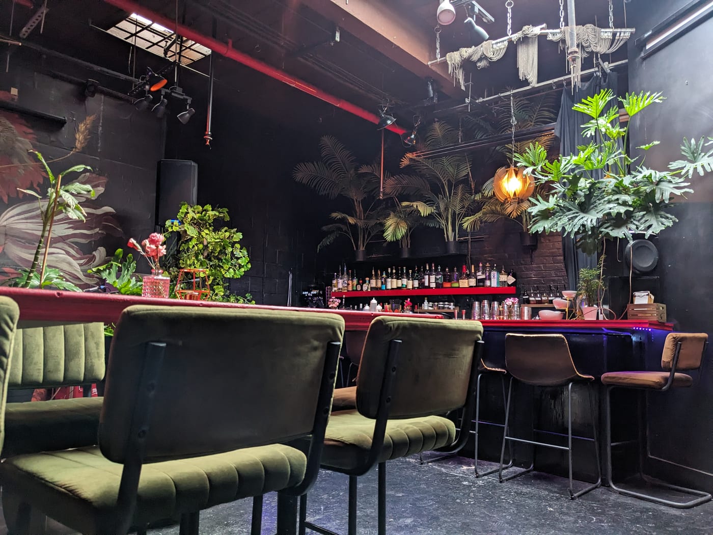 No5nyc & The Vegoist