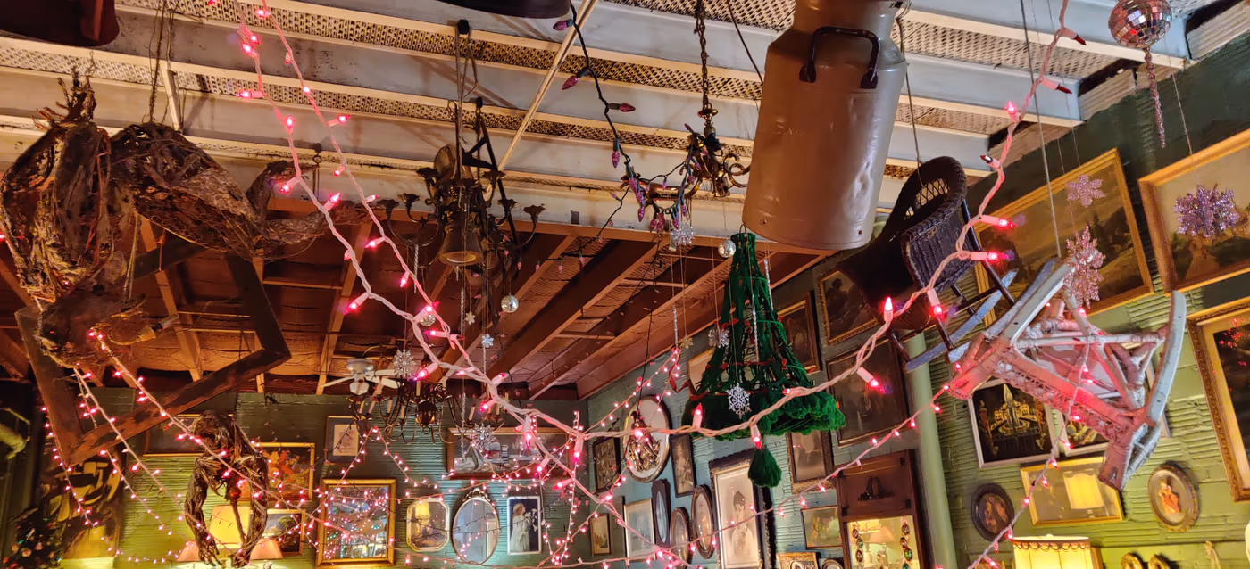 The Zenith photo 4