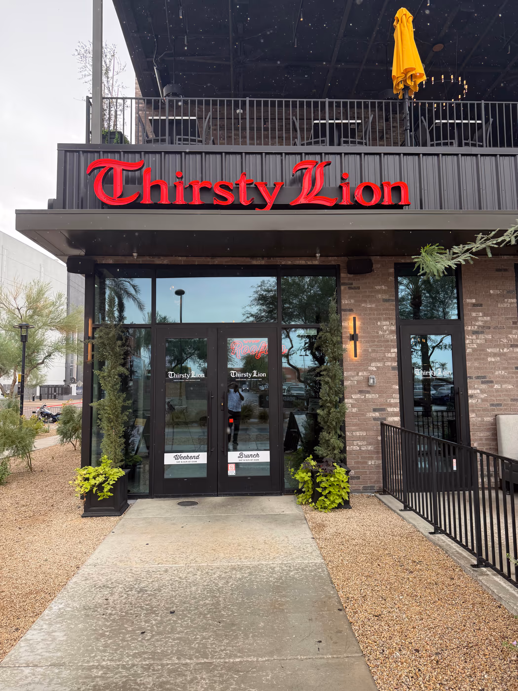 Thirsty Lion photo 2