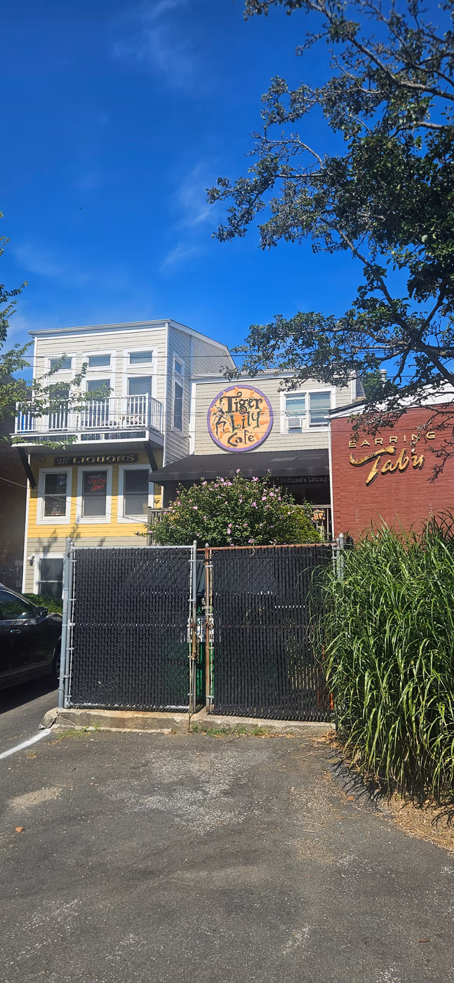 Tiger Lily Cafe photo 2
