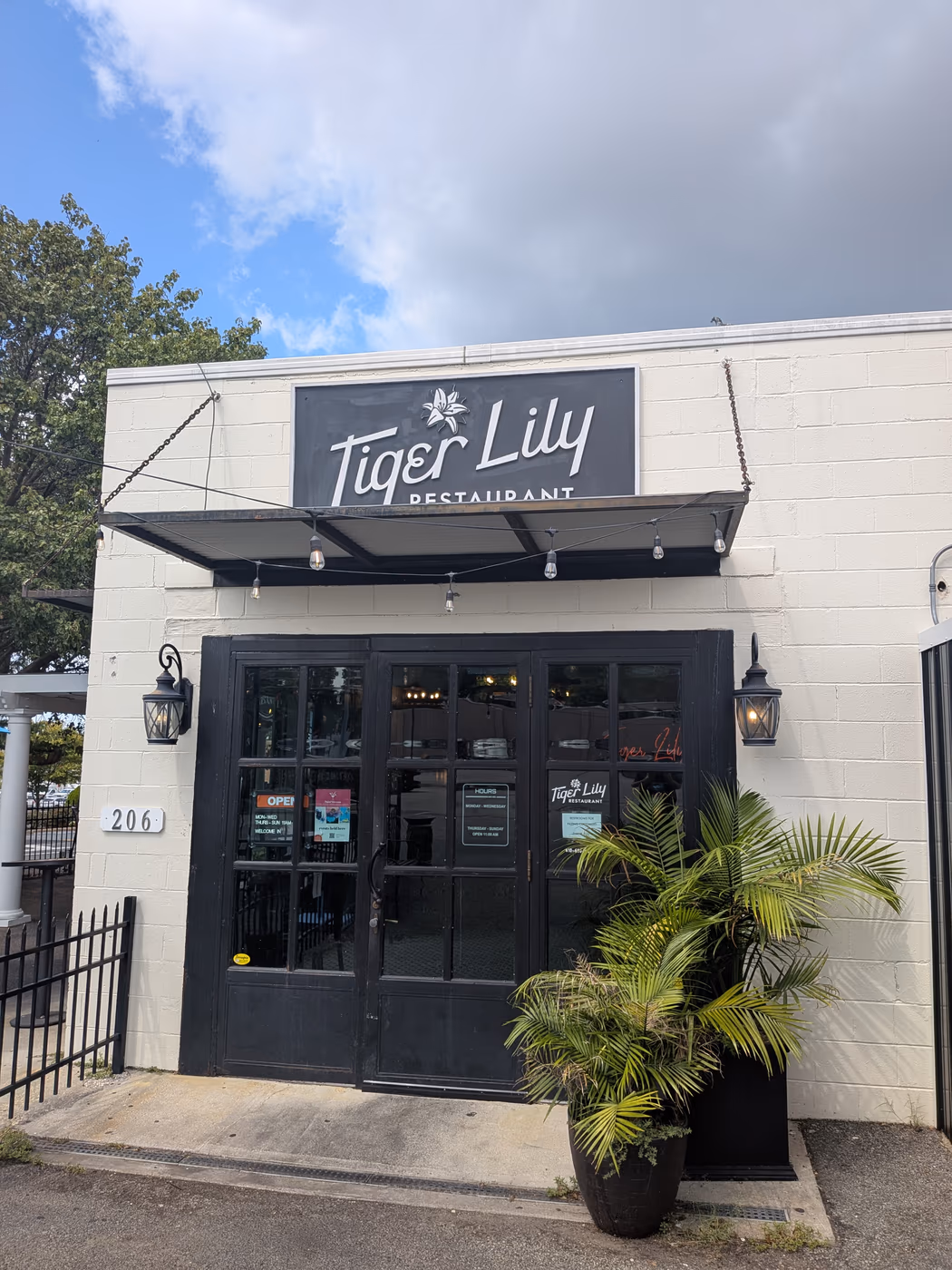Tiger Lily photo 3
