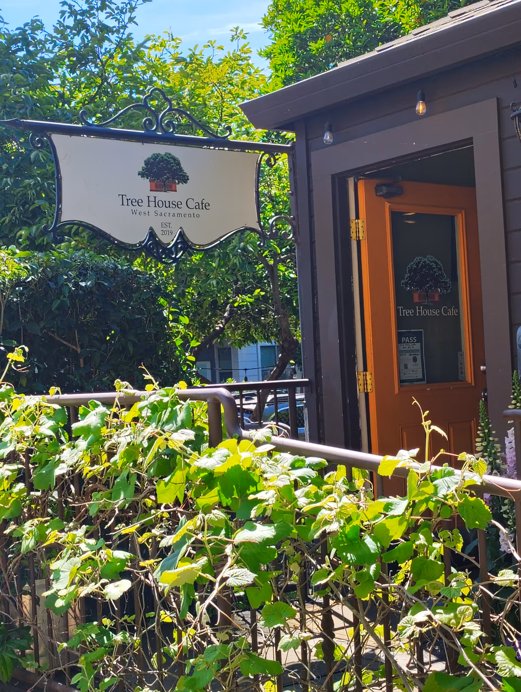 Tree House Cafe West Sac