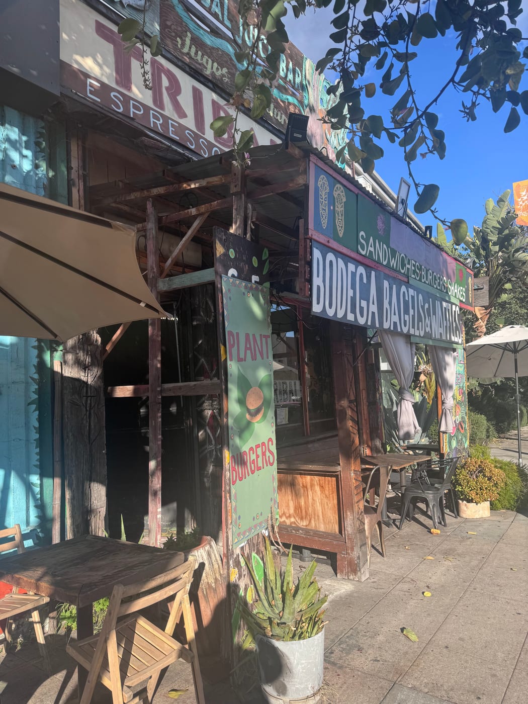 Tribal Cafe