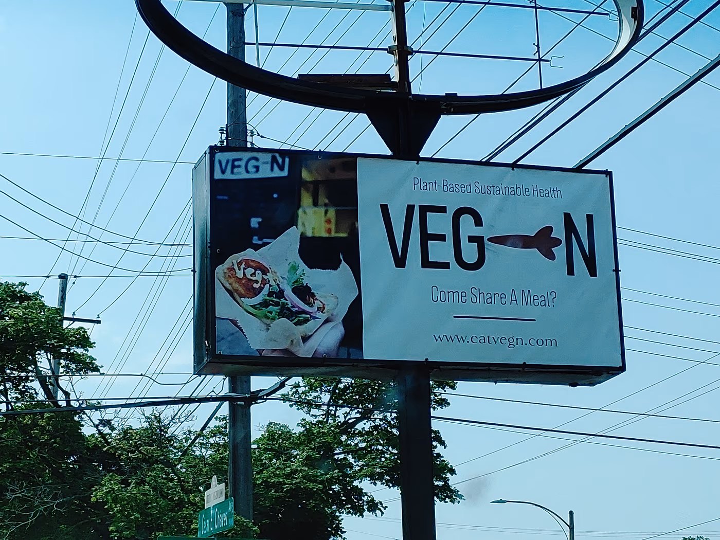 VEG photo 2