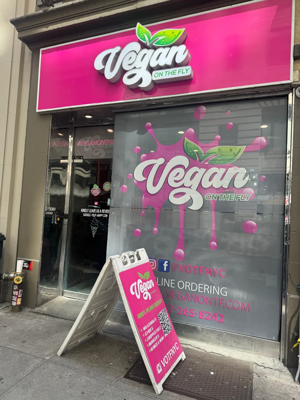 Vegan On The Fly