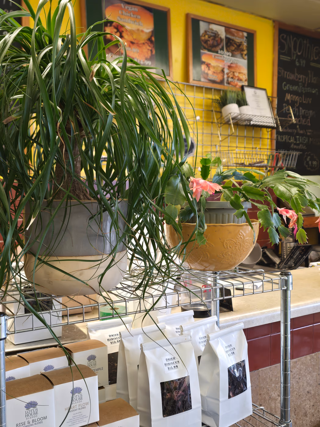 Vegan Planet Cafe photo 4