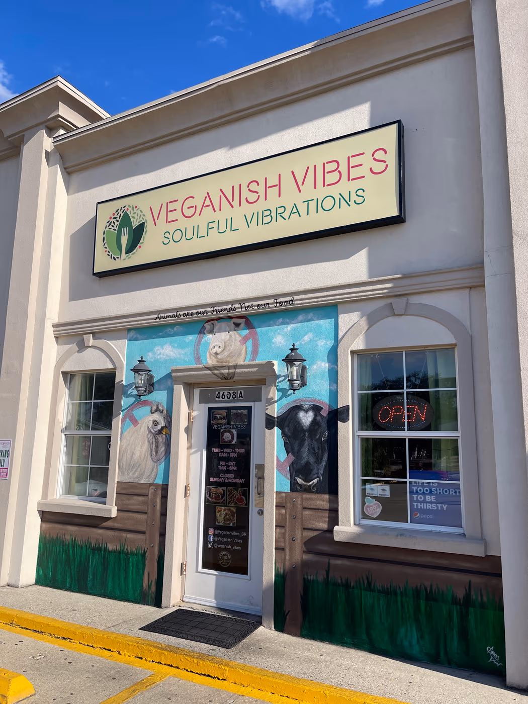 Veganish Vibes photo 3