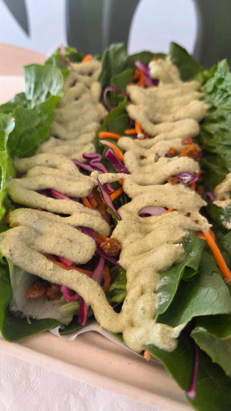 Vida Health Bar photo 4