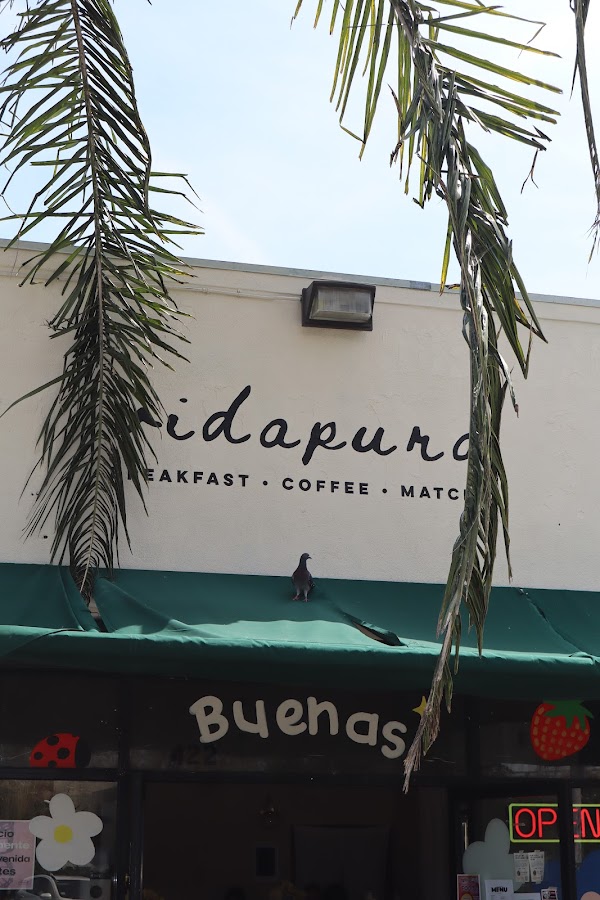 Vida Pura