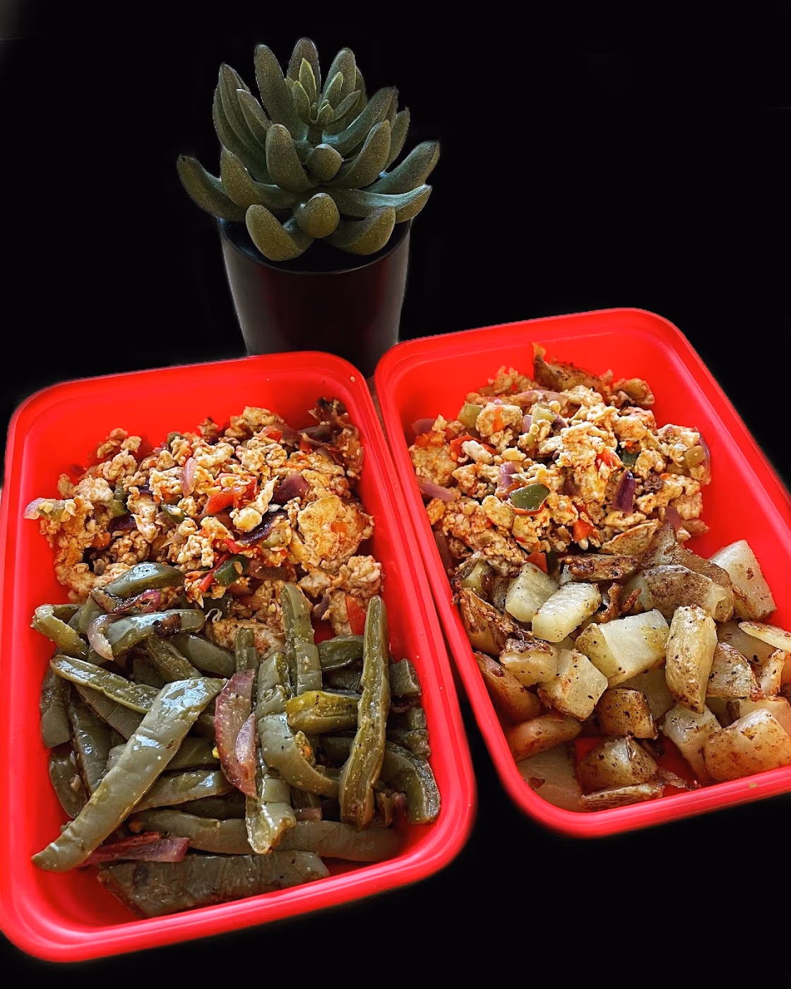Viva Fit Kitchen photo 2