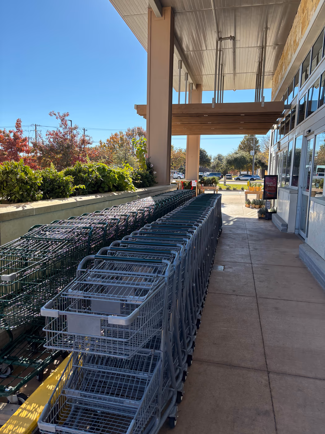 Whole Foods Market