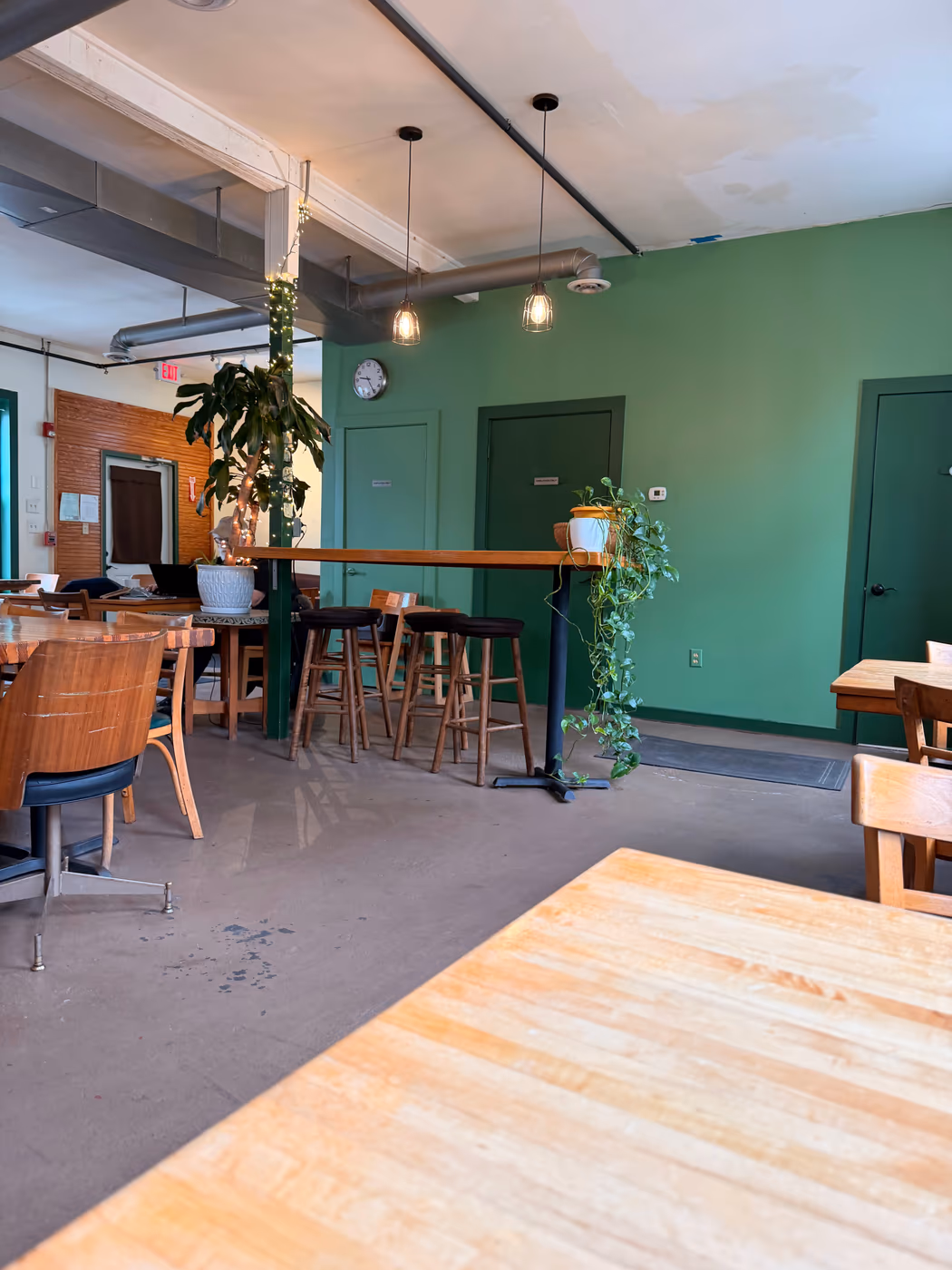 Wild Chestnut Cafe photo 4