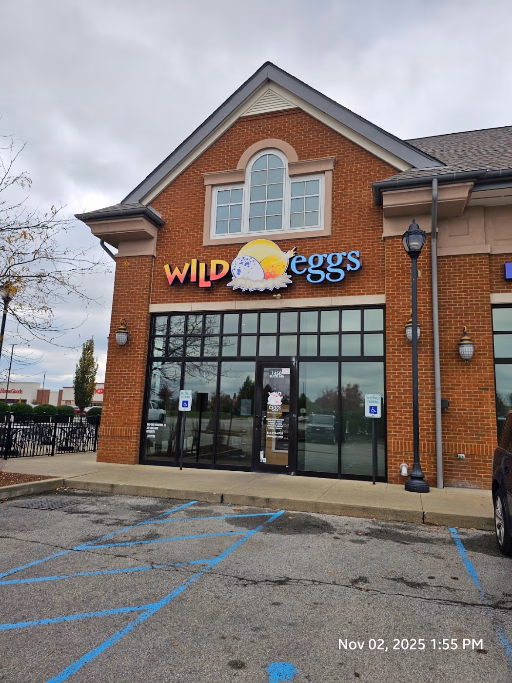 Wild Eggs photo 2