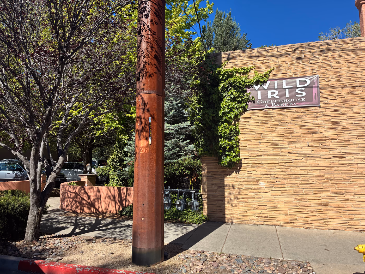 Wild Iris Coffee House