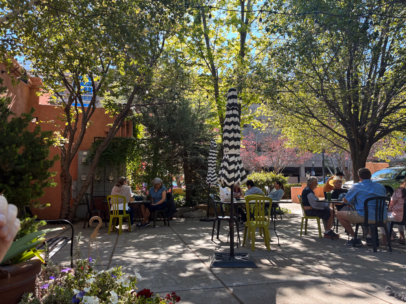 Wild Iris Coffee House photo 2