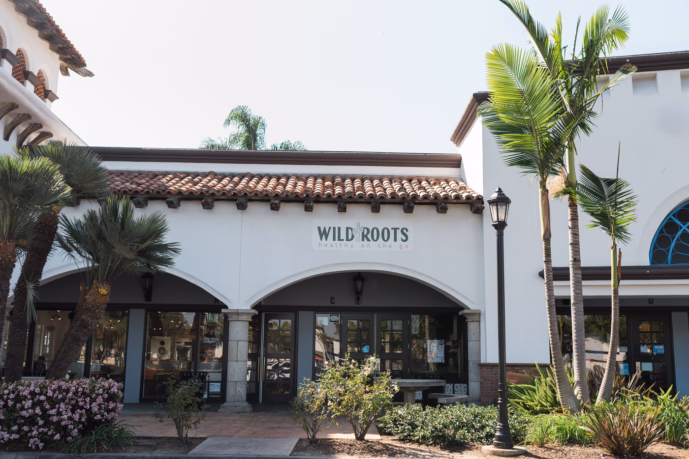 Wild Roots