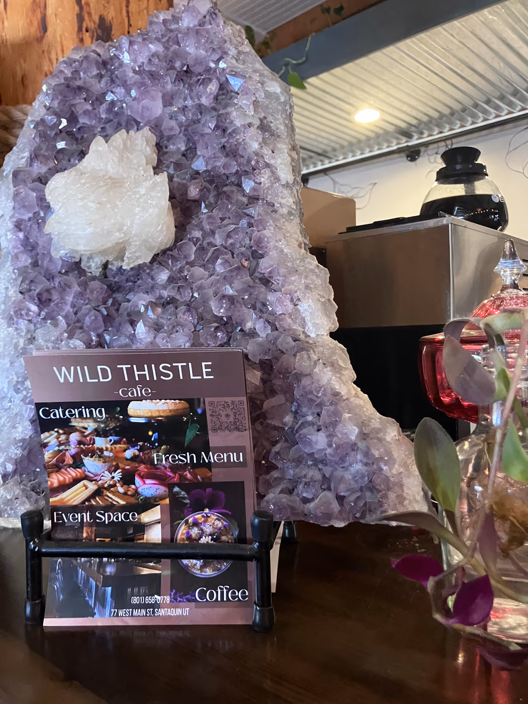 Wild Thistle Cafe photo 4
