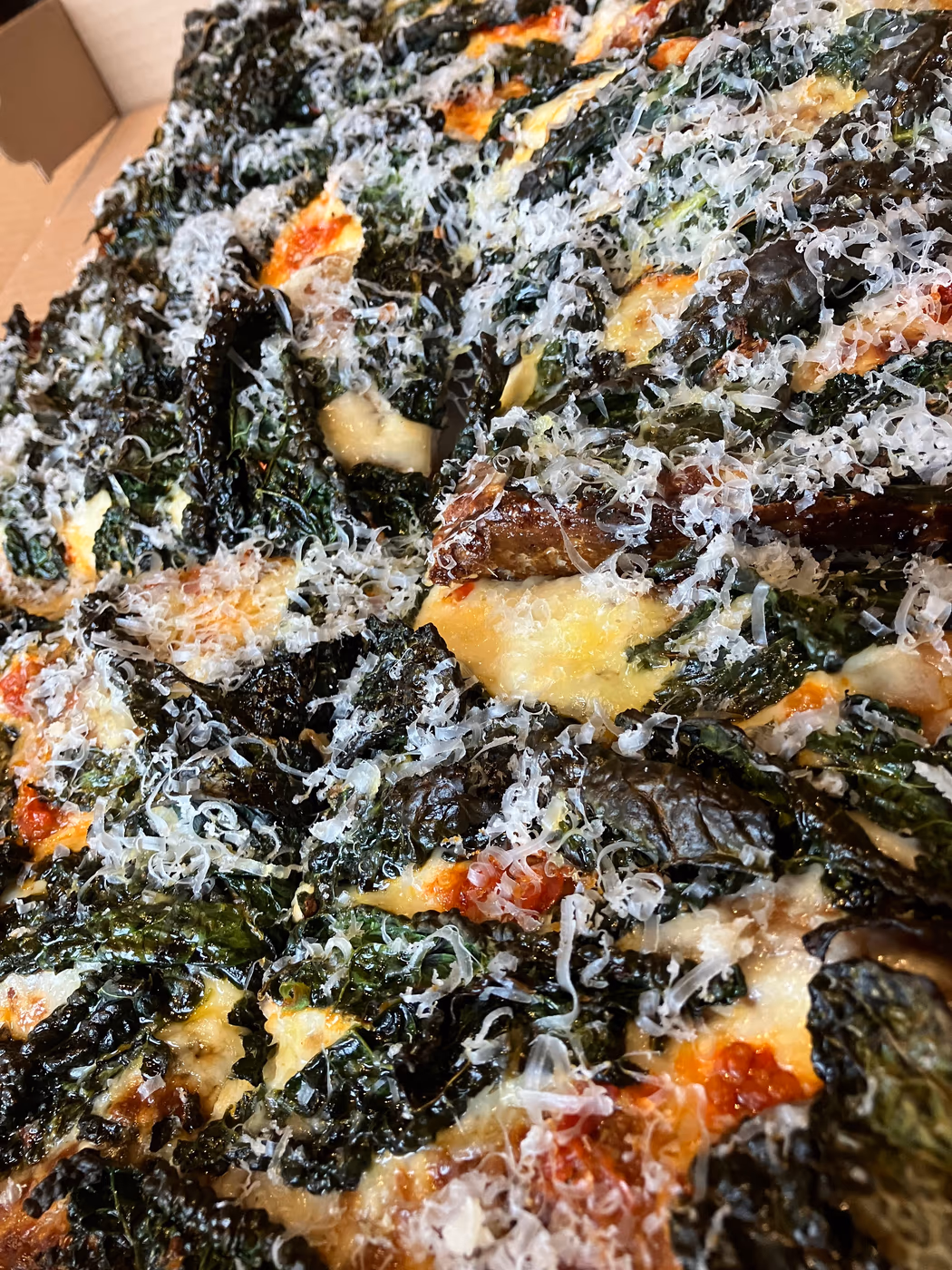 Wildflour photo 2