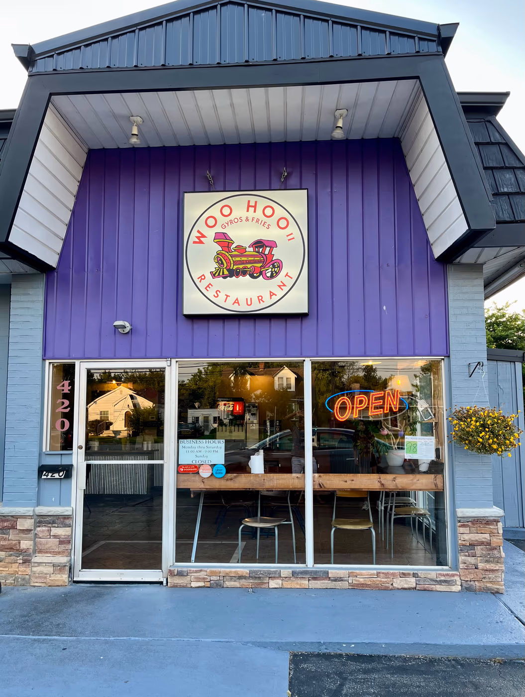 Woo Hoo II Gyros and Fries photo 4