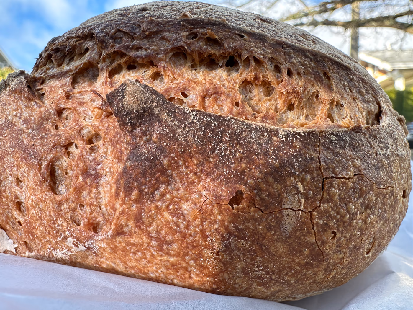 Wren's Nest Baking Co.