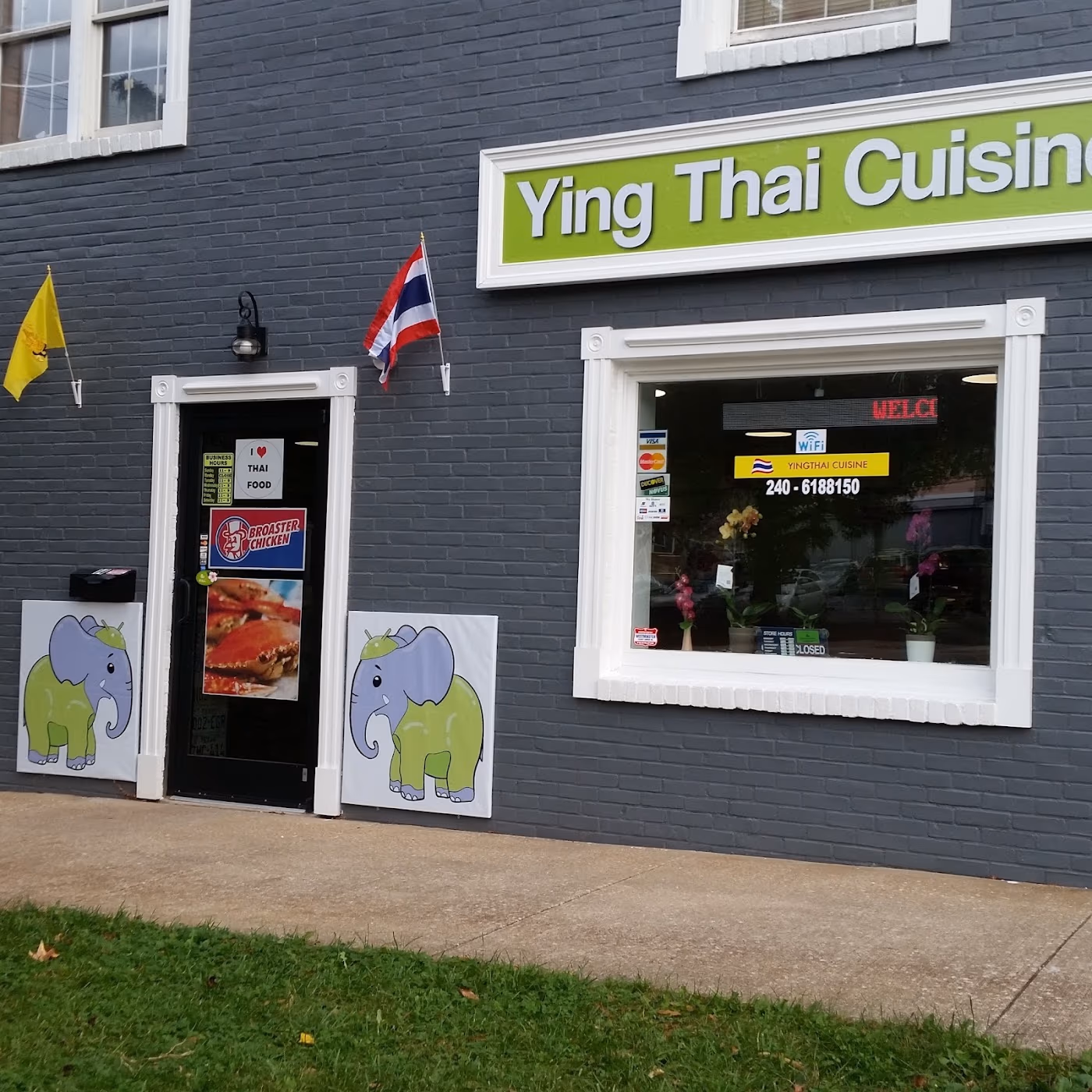 Ying Thai Cuisine photo 2
