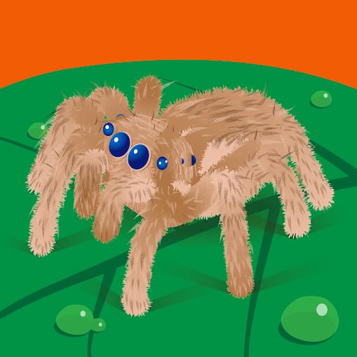 Zitouna