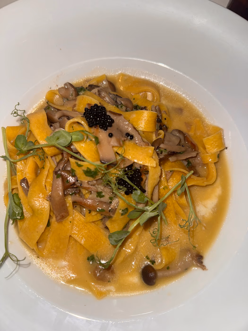 Zucca